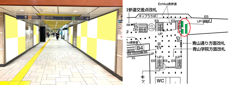 表参道南青山プレミアムセット