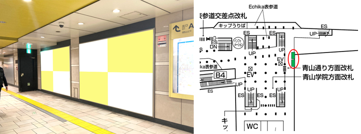 表参道プレミアムセット2C